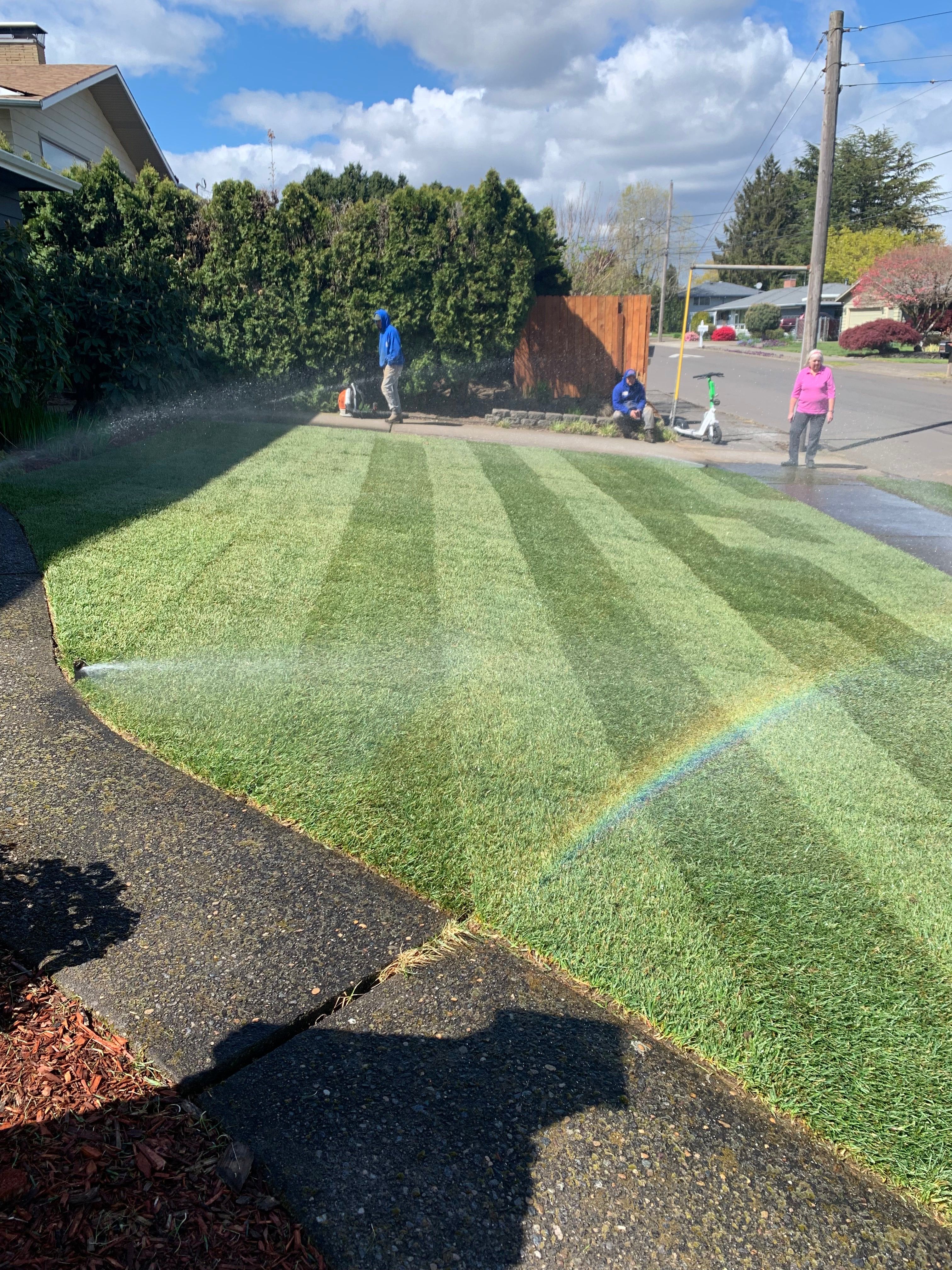 Fresh Sod Installation
