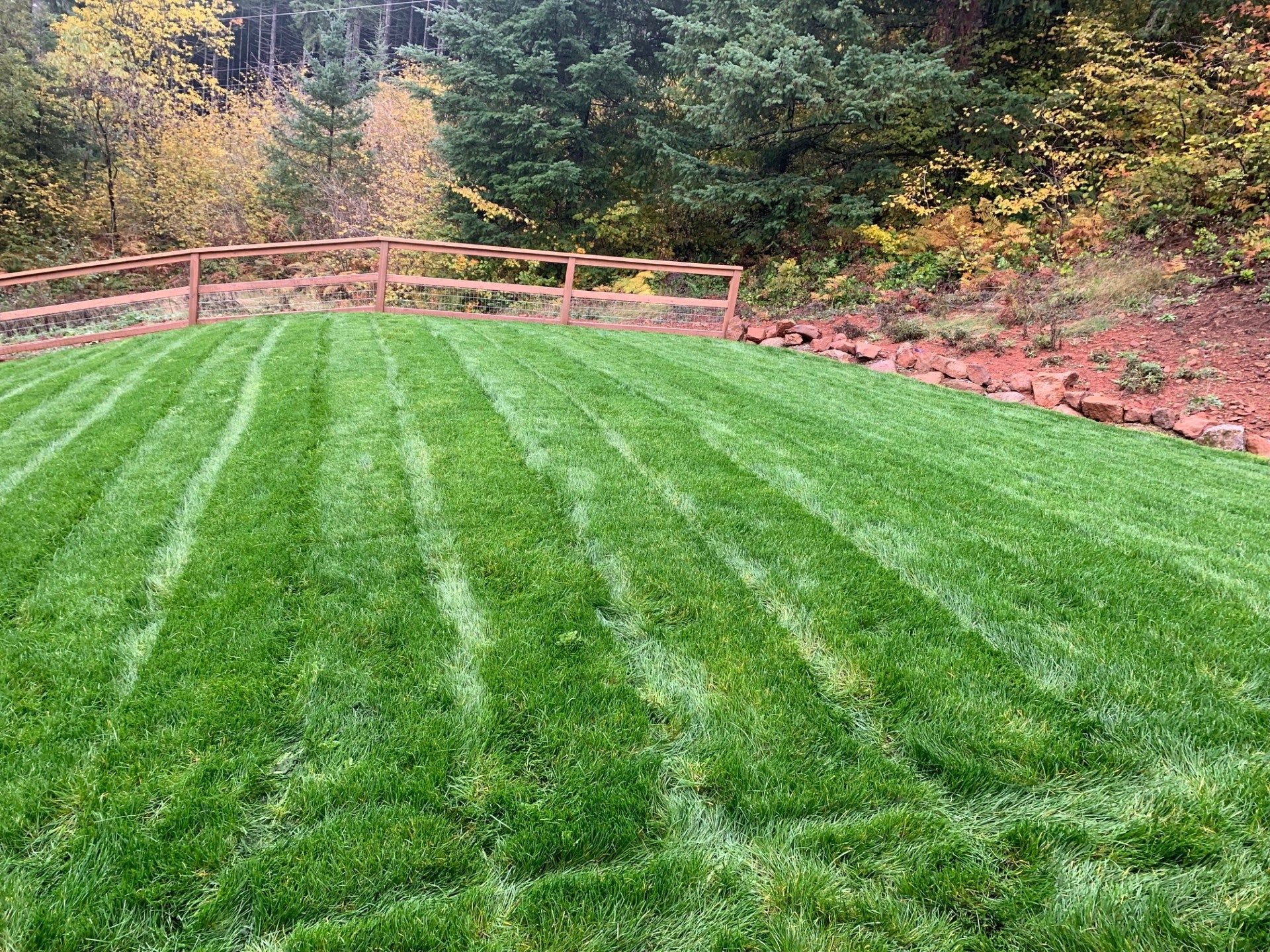 Lawn Installation